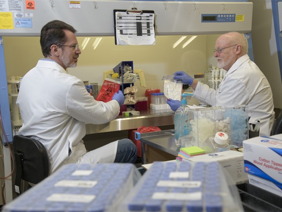 Michael Badowski, PhD, and David Harris, PhD, led the efforts alongside research and laboratory technicians to produce and deliver thousands of COVID-19 specimen collection kits to health care facilities throughout Arizona starting in March.
