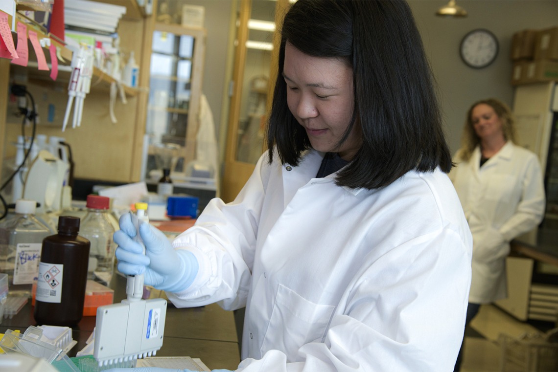 Rachel Wong, a graduate trainee in the Bhattacharya Lab is pictured validating the COVID-19 antibody test. 