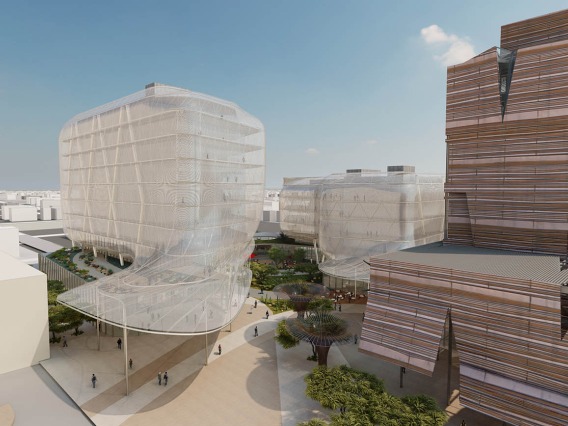 The Center for Advanced Molecular and Immunological Therapies will provide staff, facilities, support and services to advance precision medicine while anchoring a biosciences innovation hub on the Phoenix Bioscience Core.