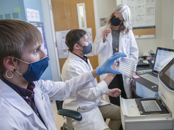 The team of third-year doctoral student Dakota Reinartz, Justin E. Wilson, PhD, and Julie E. Bauman, MD, MPH, is investigating the link between inflammation and cancer.