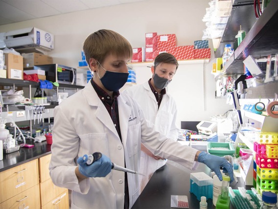 Doctoral student Dakota Reinartz and Justin E. Wilson, PhD, are on a quest to understand how inflammation plays a role in the development and spread of certain head-and-neck cancers.