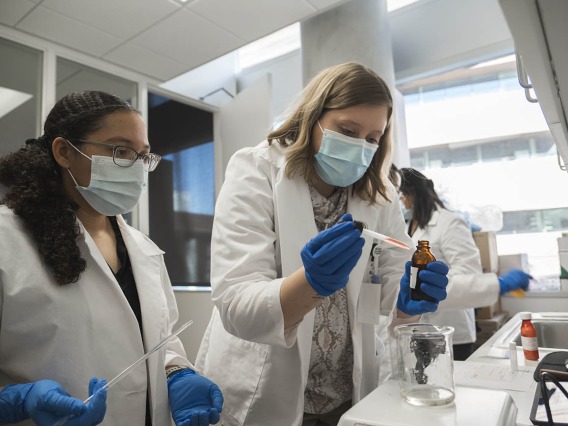 The American Association of Colleges of Pharmacy ranked the R. Ken Coit College of Pharmacy fifth in the nation by National Institutes of Health funding based on grants awarded to principal investigators in U.S. colleges and schools of pharmacy.
