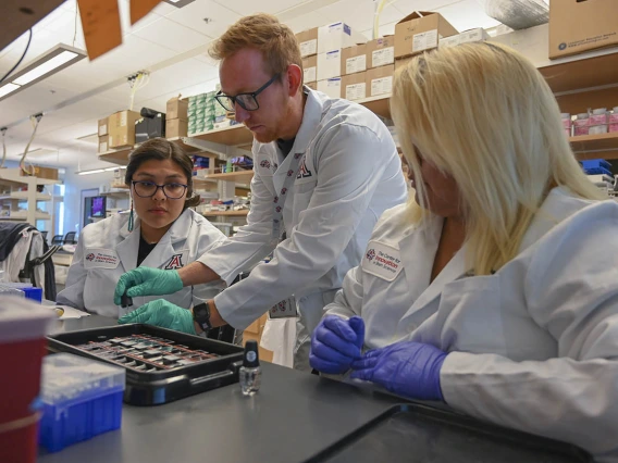 Diné College students Alyssa Joe (left) and Angel Leslie (right) work with graduate student David Bradford on an ALS-focused investigation at the UArizona Health Sciences Center for Innovation in Brain Science.