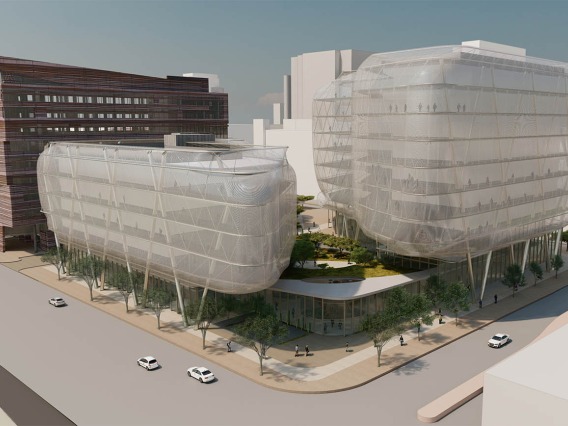 Distinguished leaders in academic research, biomedical and health care industries, government organizations and corporations across the state will help guide the development of the University of Arizona Health Sciences Center for Advanced Molecular and Immunological Therapies.   