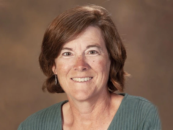 Denise Roe, DrPH, is director of Biometry and a professor of biostatistics in the Epidemiology and Biostatistics Department.