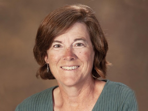 Denise Roe, DrPH, is director of Biometry and a professor of biostatistics in the Epidemiology and Biostatistics Department.