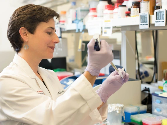 Dr. Amelia Gallitano is hard at work developing a diagnostic test for schizophrenia that can be administered by a non-specialist.