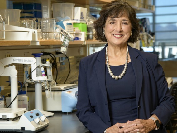 Roberta Diaz Brinton, PhD, founded the multidisciplinary Center for Innovation in Brain Science in 2016 to find cures for neurodegenerative brain diseases, including Alzheimer’s, Parkinson’s, multiple sclerosis and ALS.