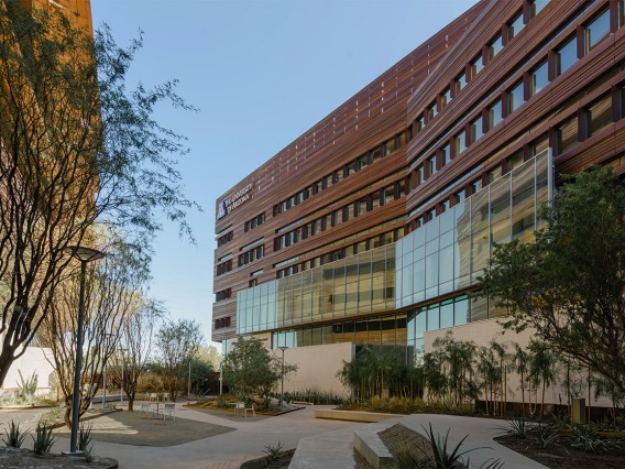 The shade cast in the canyon between the Biomedical Sciences Partnership Building and the Health Sciences Education Building on the Phoenix Biomedical Campus makes this a favorite place for people to congregate on all but the hottest of days.  