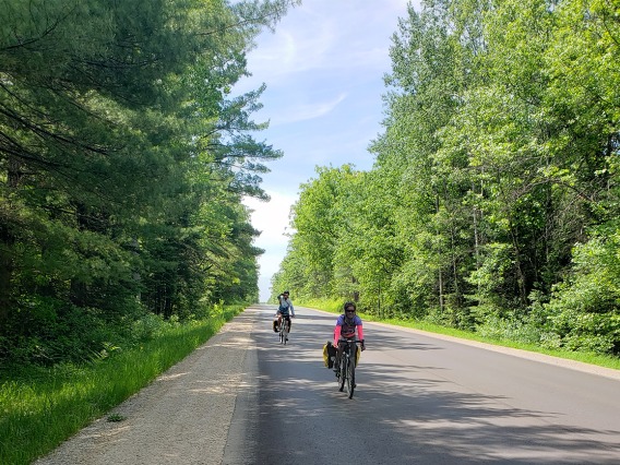 A green, paved stretch of Michigan.