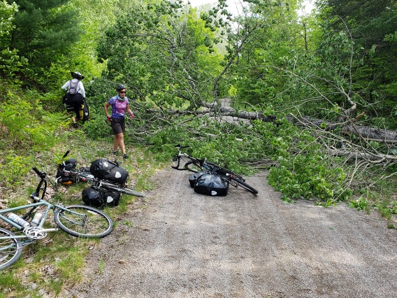 Eve Shapiro and Sally Krusing look for a good way to get people and bikes around a downed tree that blocks the bike route in Minnesota.