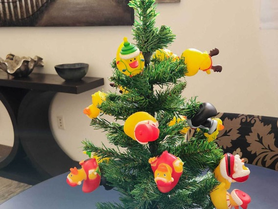 If you are on the UArizona Health Sciences Phoenix campus this holiday season, duck into Building 1 and the office of Tony Malaj, executive director of campus management and operations for UArizona College of Medicine – Phoenix, to see this uniquely decorated tree.