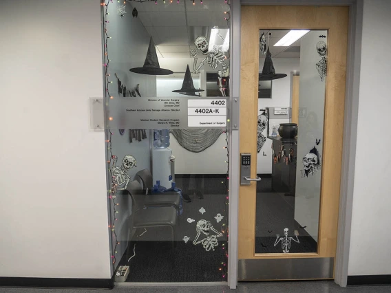 Looking through a closed glass door and sidelight covered with Halloween skeletons and witch's hats. 