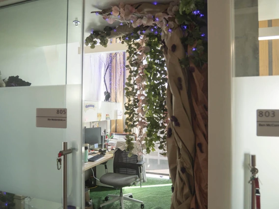 Looking in through a glass office door at a large tree with hanging leaves and various other enchanted forest decorations. 