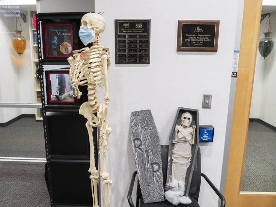A full size skeleton and a small mummy in a coffin stand in an entryway to an office. 