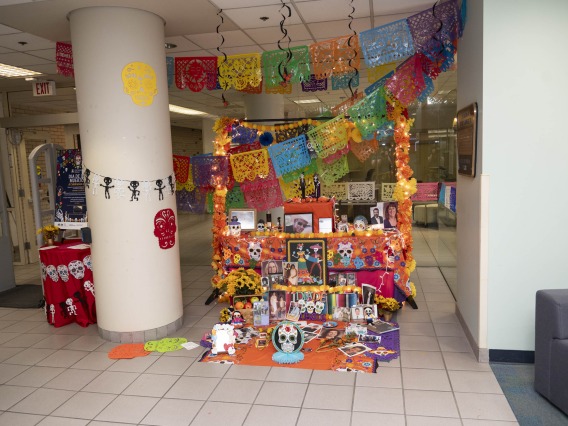 Brightly colored Dia de los Muertos altar with tissue paper flages, flowers and photos of people and animals. 