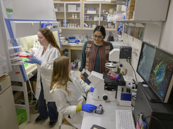 three women working in a University of Arizona Health Sciences research laboratory