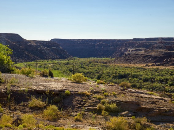 A landscape portrait of Arizona desert scenery