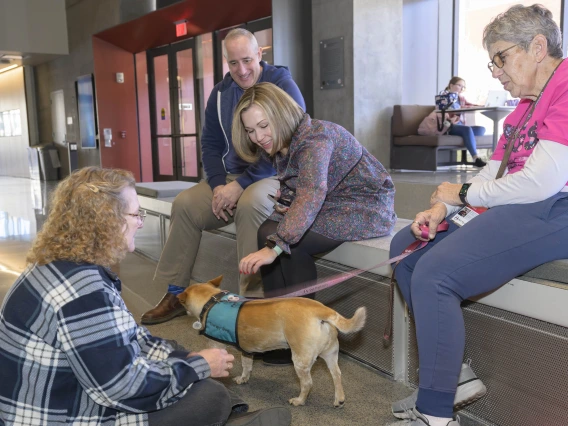 Several people sit on the floor and a low bench petting a small yellow dog. 