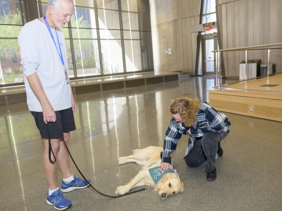 A man stands next to a golden retriever that is lying on its side while being petted by a kneeling woman. 