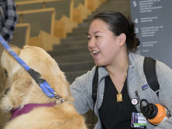 A woman smiles as she pets a golden retriever. 