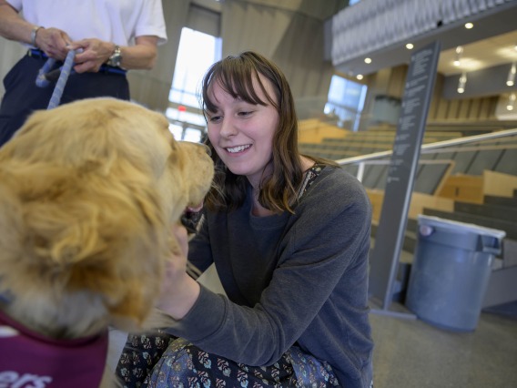 A woman kneels down looking into the face of a golden retriever while petting it. 