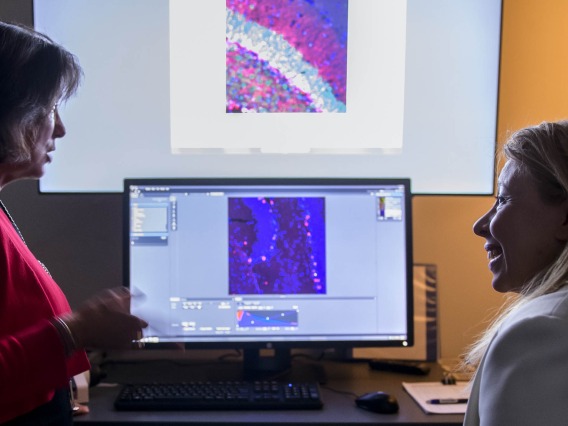 (From left) University of Arizona Health Sciences researchers Roberta Diaz Brinton, PhD, and Nahla Zaghloul, MD, are investigating the long-term safety and efficacy of allopregnanolone as a regenerative therapeutic for Alzheimer's disease and cerebral palsy.