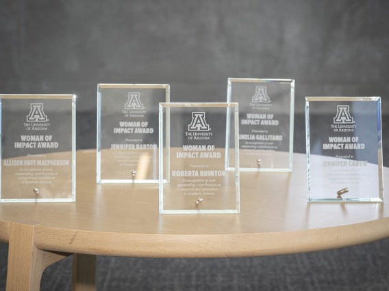 Glass awards standing up on a wooden table
