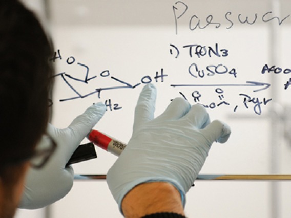 A researcher at the University of Arizona works on an equation (Photo: University of Arizona)
