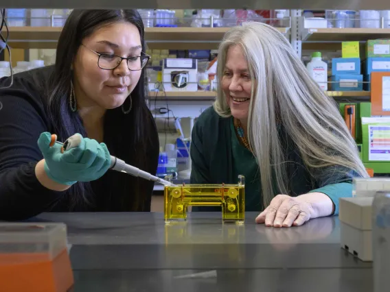 doctoral student and faculty mentor in a University of Arizona Health Sciences research laboratory