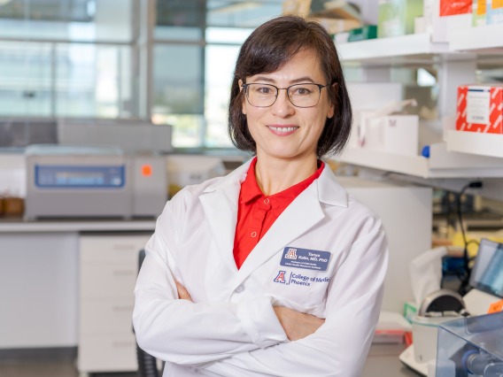 portrait of Tanya Kalin, MD, PhD, in a research laboratory at the College of Medicine – Phoenix