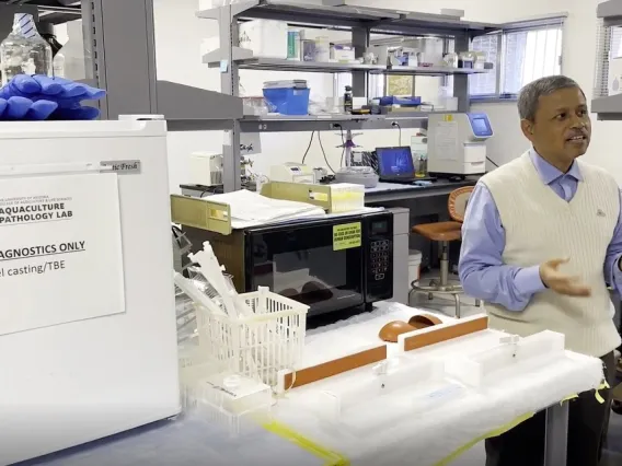 man standing in research laboratory the University of Arizona