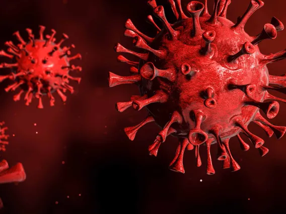 3D illustration of a red coronavirus on a red background