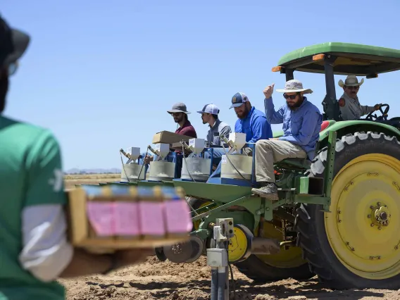 five people on a tractor prepare to plant tepary beans