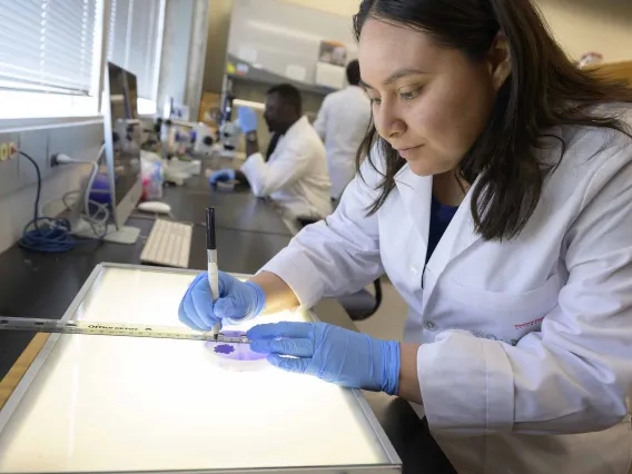 Researcher examining a petri dish