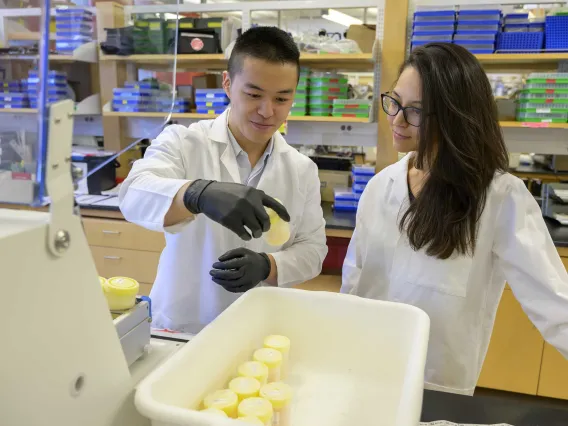 A graduate student and a faculty member examine labels on containers  in a lab