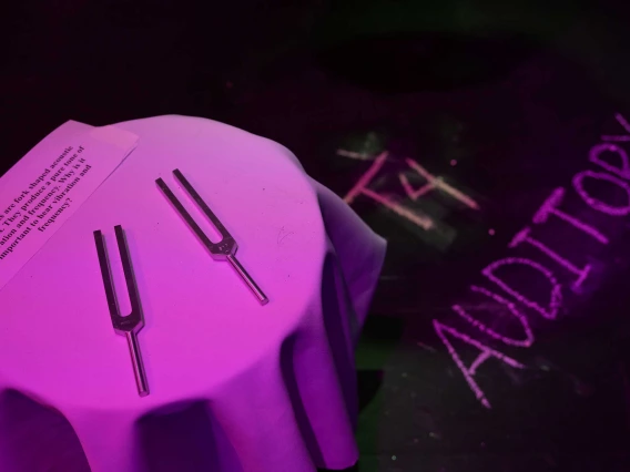 A table with two tuning forks and T4 Auditory written in chalk on a black floor