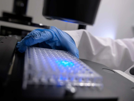 close up of sample research with UV light.