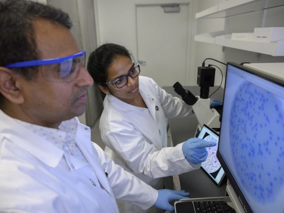 Two University of Arizona Health Sciences researchers look at a microscope image of  immune responses to tumor antigens on a computer monitor