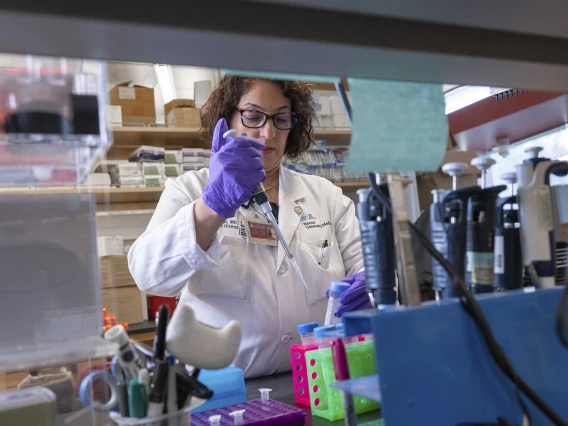 Fariba Donovan, MD, PhD, holds a pipette in a gloved hand in a lab at the University of Arizona Valley Fever Center for Excellence.