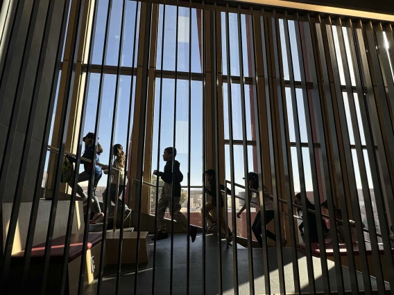 Students walk up stairs behind a dark vertical line barrier with a blue sky behind them. 