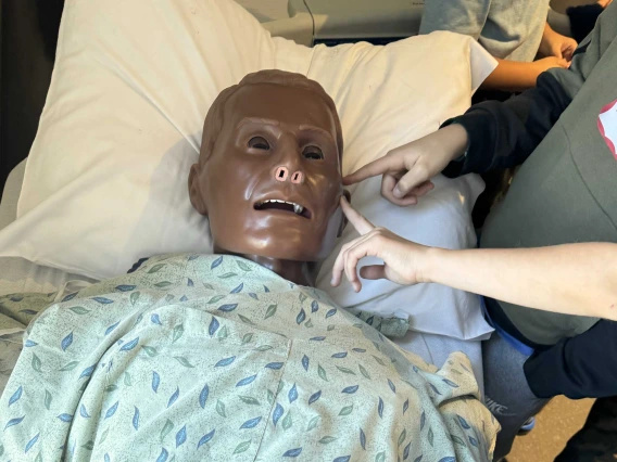 Hands reach out to touch a plastic manikin wearing a hospital gown. 