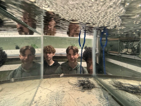 Three students look into a fish tank with air bubbles and their reflections. 