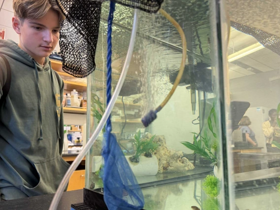 A student looks into a large fish tank that contains a few small fish. 