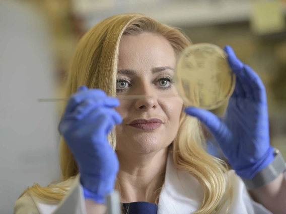 A researcher wearing a white lab coat and blue gloves holds a petri dish up to her face, examining it closely in a laboratory setting.