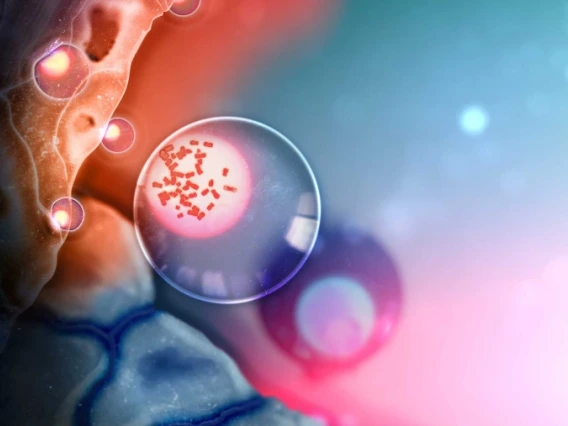 A decorative image shows a cell as it travels through the body.