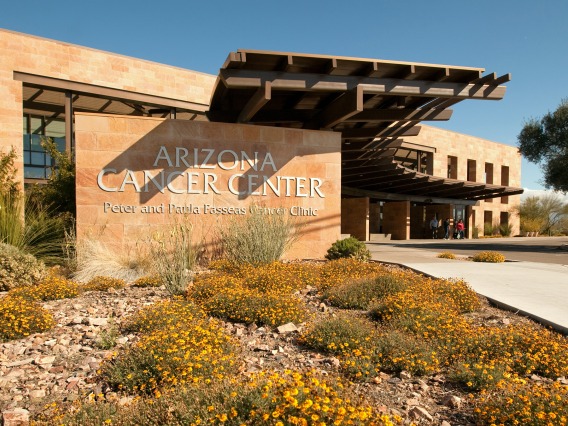 The University of Arizona Cancer Center created new policies based on what it learned from other states and countries about how to continue cancer care and research during a pandemic.