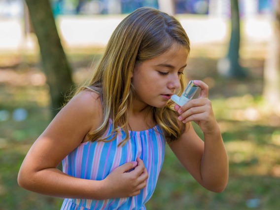 The UArizona Health Sciences Asthma & Airway Disease Research Center has spent decades researching the origins of adult respiratory diseases, including asthma and COPD, which often begin in the wheezing and lower respiratory infections of youth.