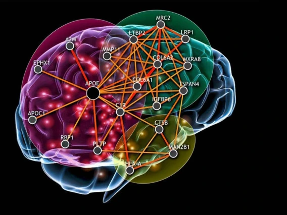 Researchers at the Center for Innovation in Brain Science are flipping the traditional research model by first considering known factors underlying diseases and then seeking treatments using technologies to scan data for patterns that suggest certain compounds may impact those biological pathways. 