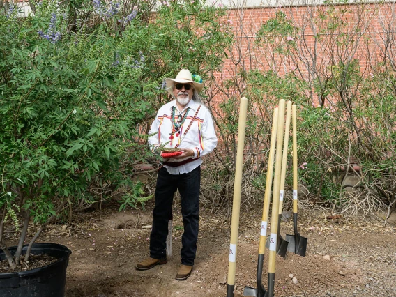 A man with a straw cowboy hat stands in a garden setting with several shovels stuck in the ground next to him and a tree in a big pot. 